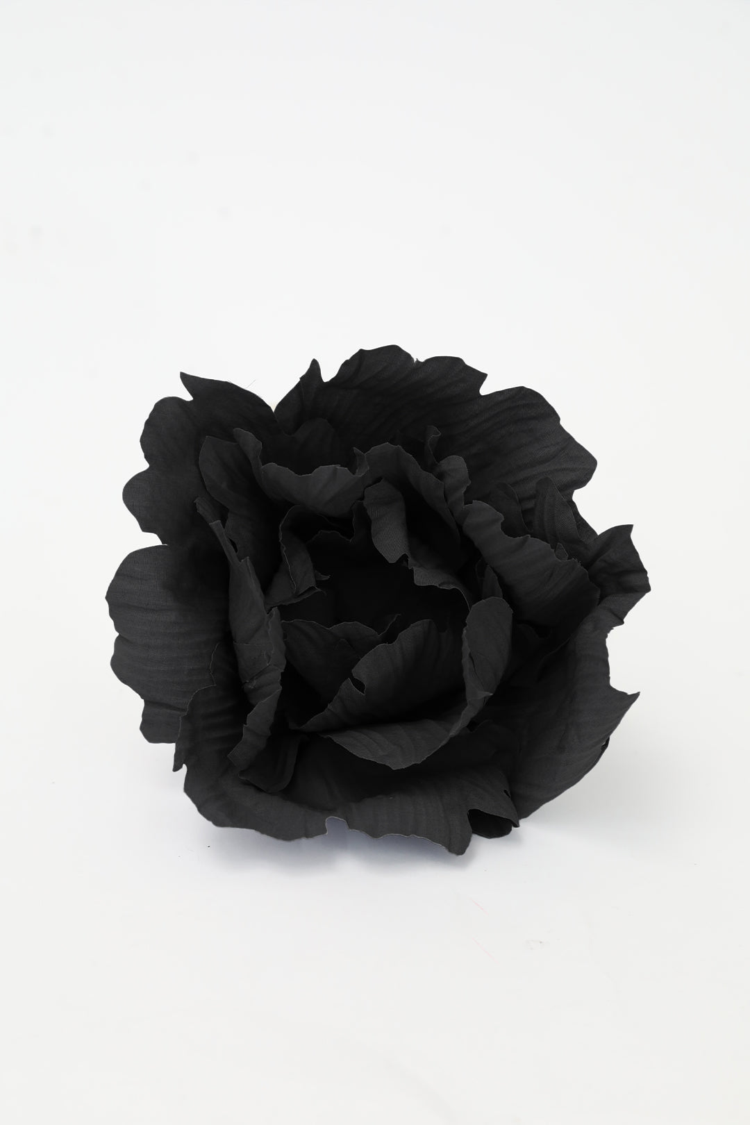 LOTUS FLOWER IN COTTON