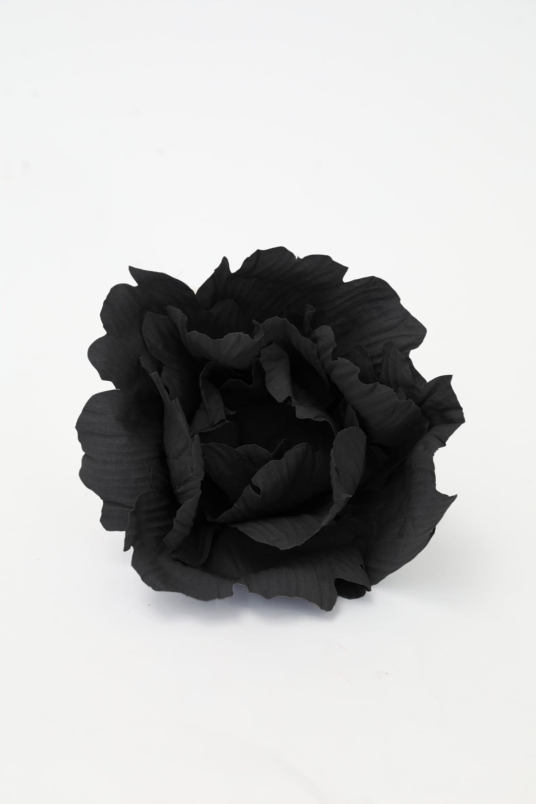 LOTUS FLOWER IN COTTON - Jarbo