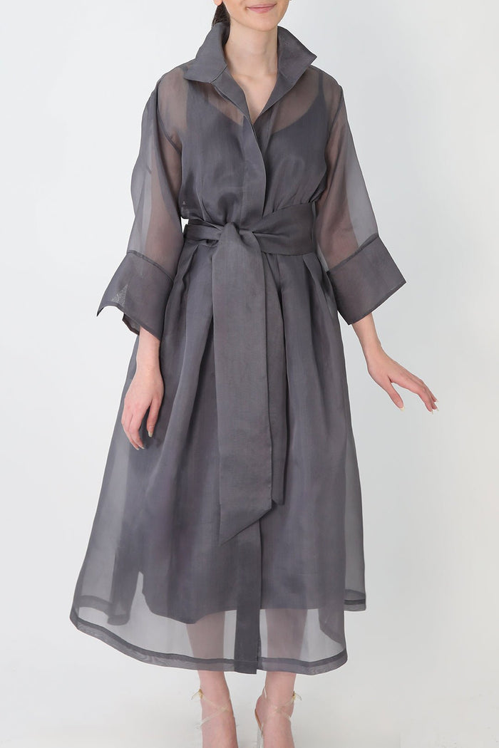 GABRIELLE DRESS IN SILK ORGANZA PLATINUM main image 0